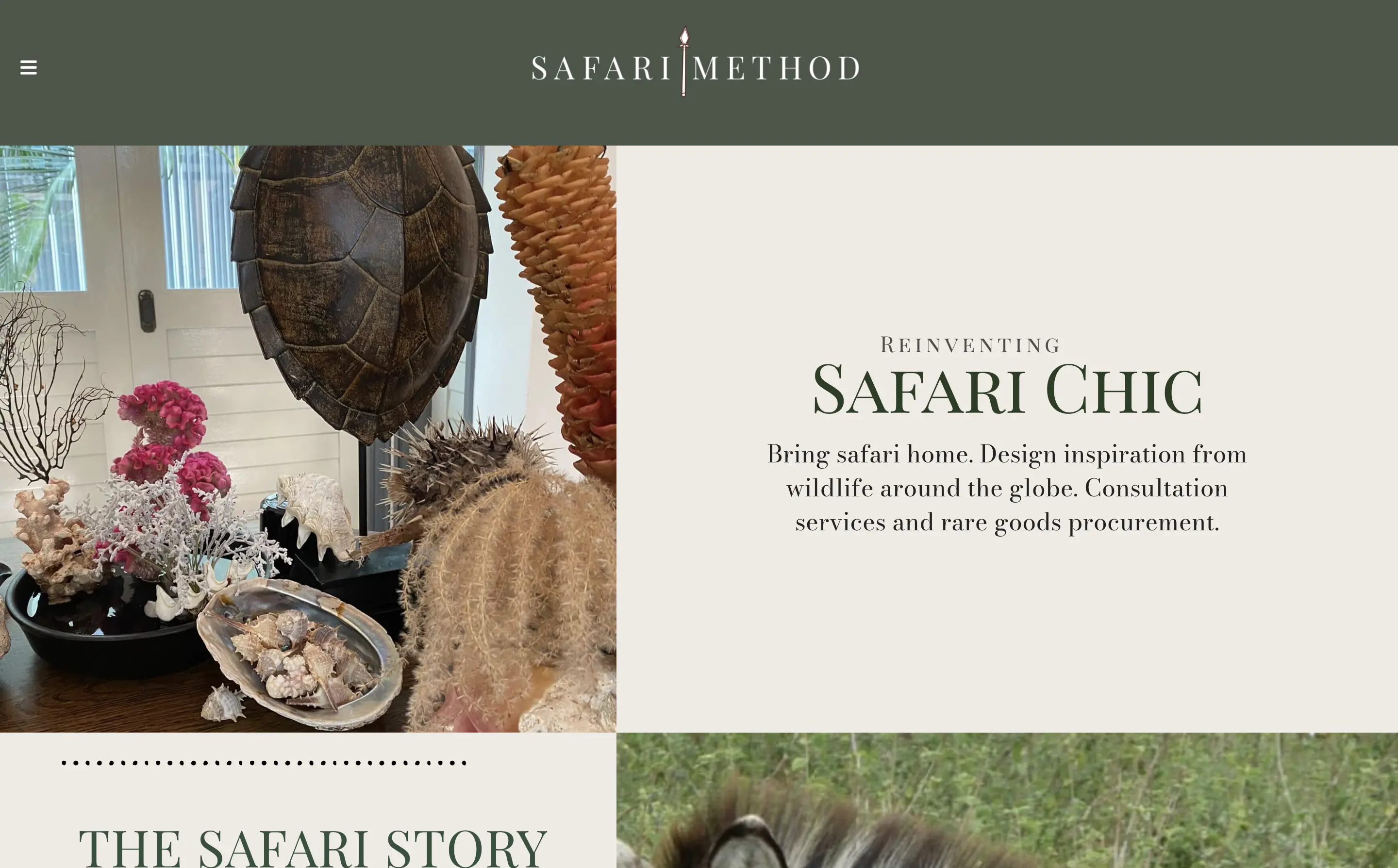 Skärmdump av Safari Methods hemsida